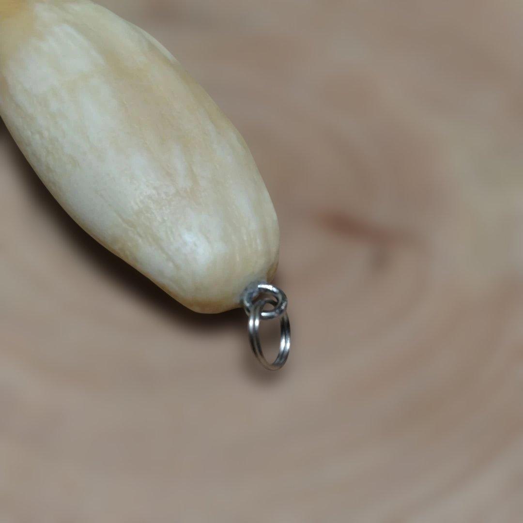 熊牙キーホルダー　約８cm　ヒグマの牙　羆の牙　　ヒグマ　羆　魔除け　災難除け