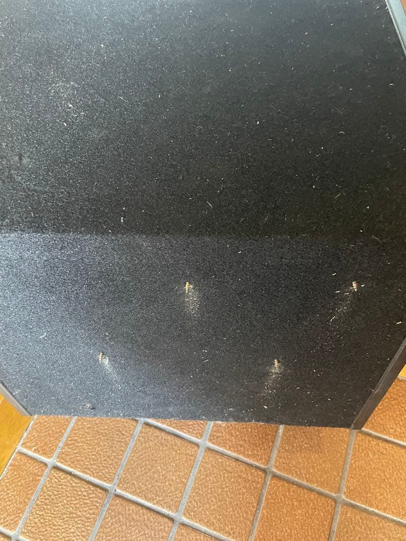 Rockford Fosgate P1L-110 ウーファー