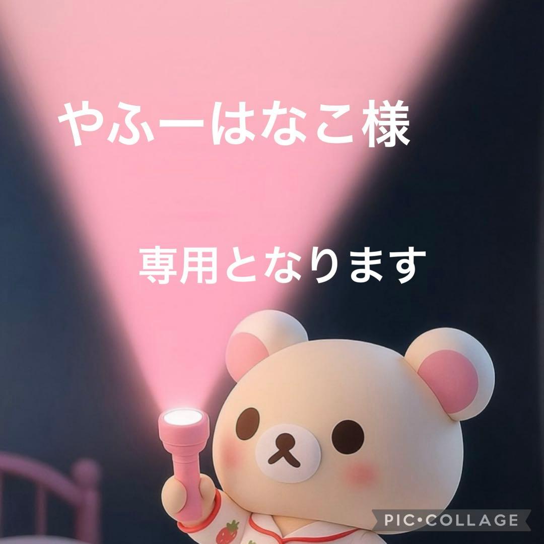 アイシードール カスタム☆171☆