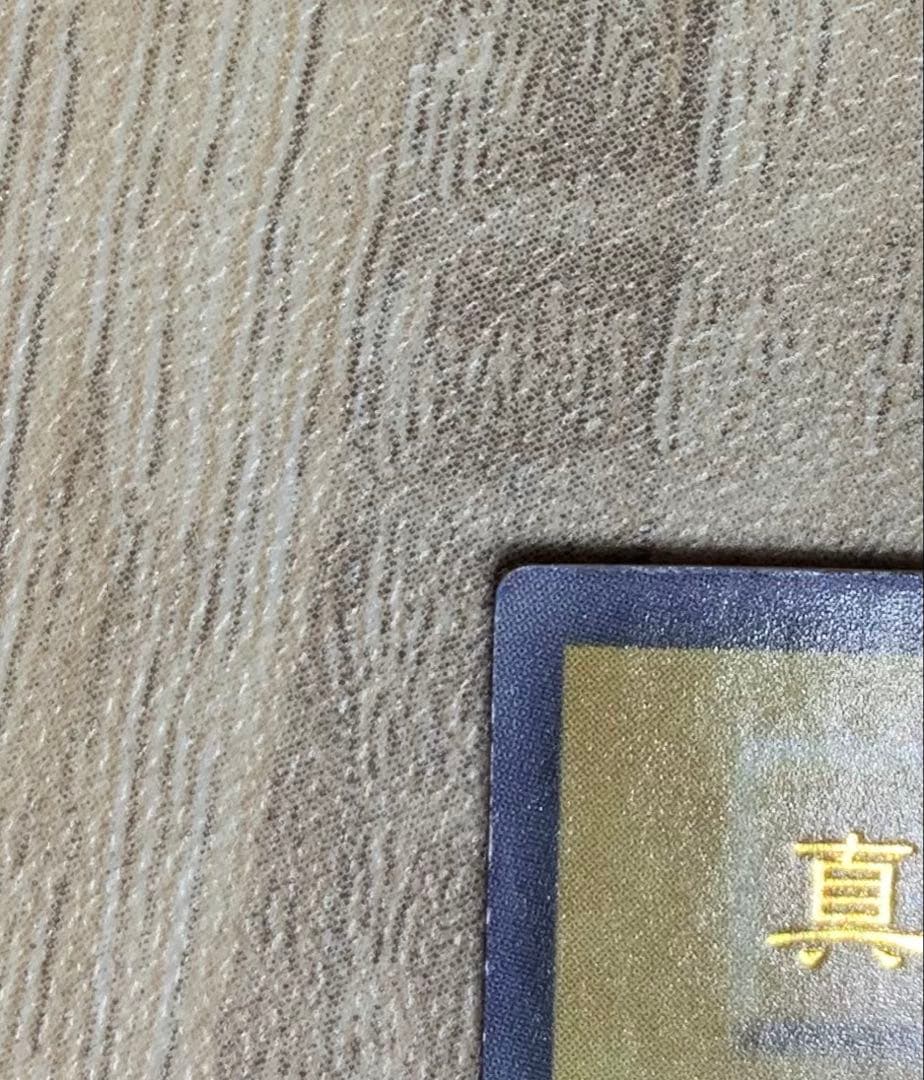 真紅眼の黒竜 レッドアイズブラックドラゴン 初期ウルトラレア