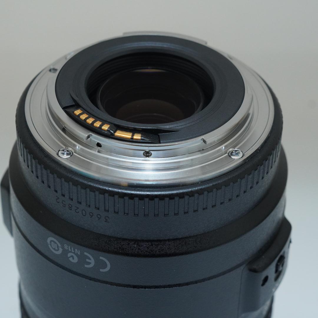 Canon キャノン EF 75-300mm 4-5.6 IS USM