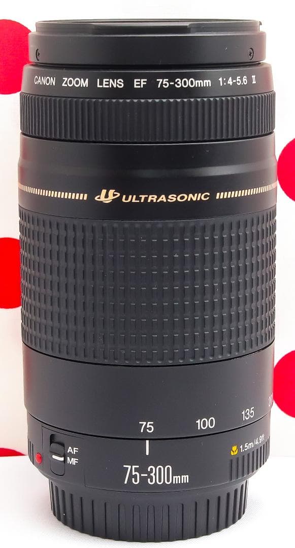 Canon EF 75-300mm USM❤超望遠レンズ❤canon純正レンズ
