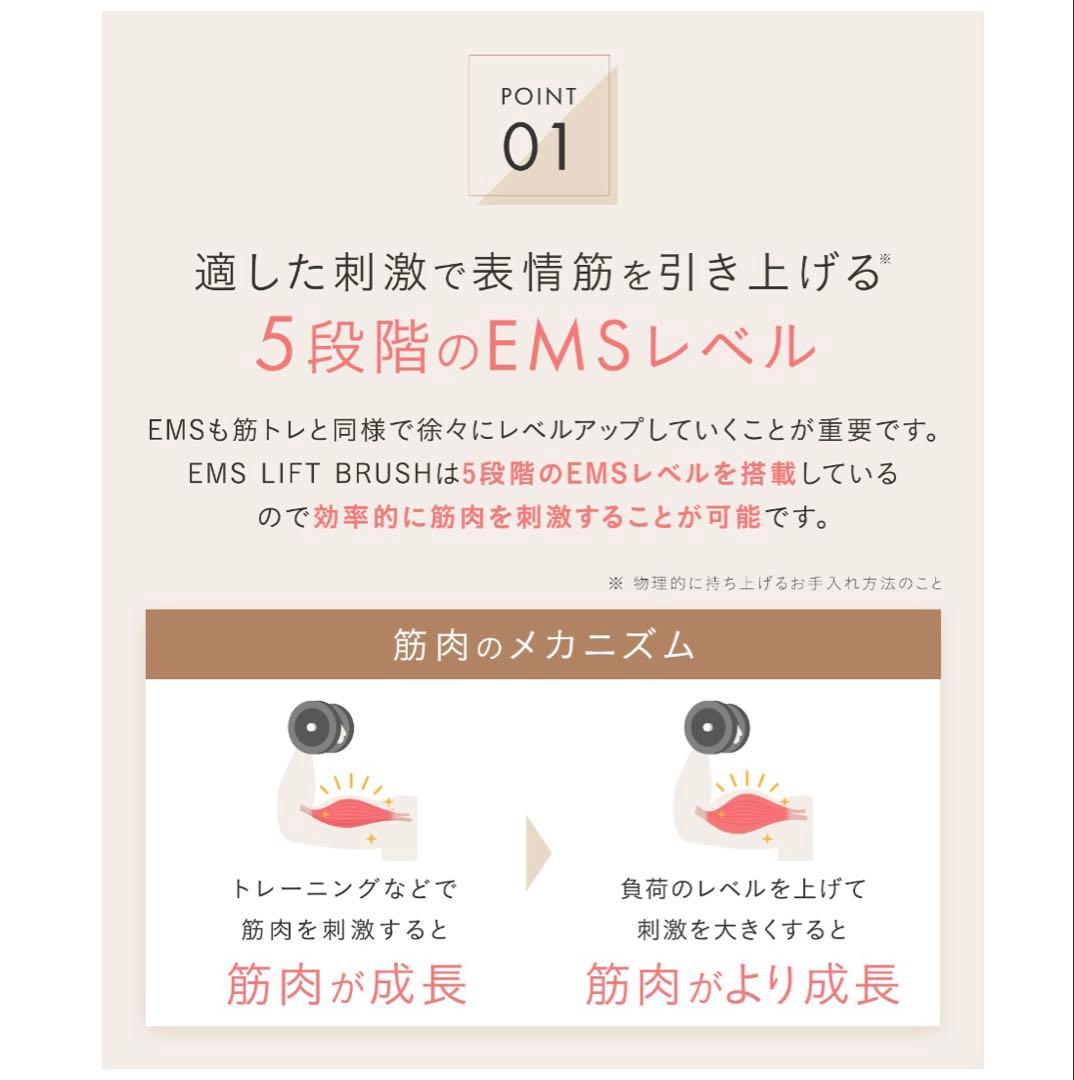 SALONIA サロニア EMSリフトブラシ 電気ブラシ