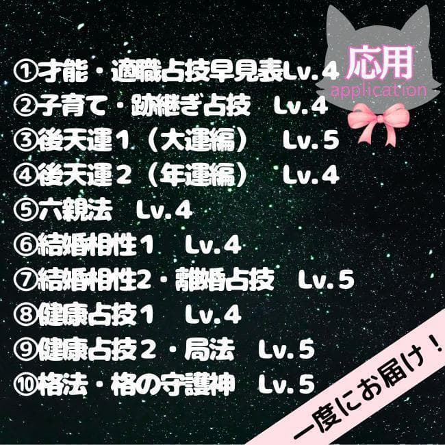 【￥11,000引】ゆめ乃算命学　本気のフルハウス　算命学　独学