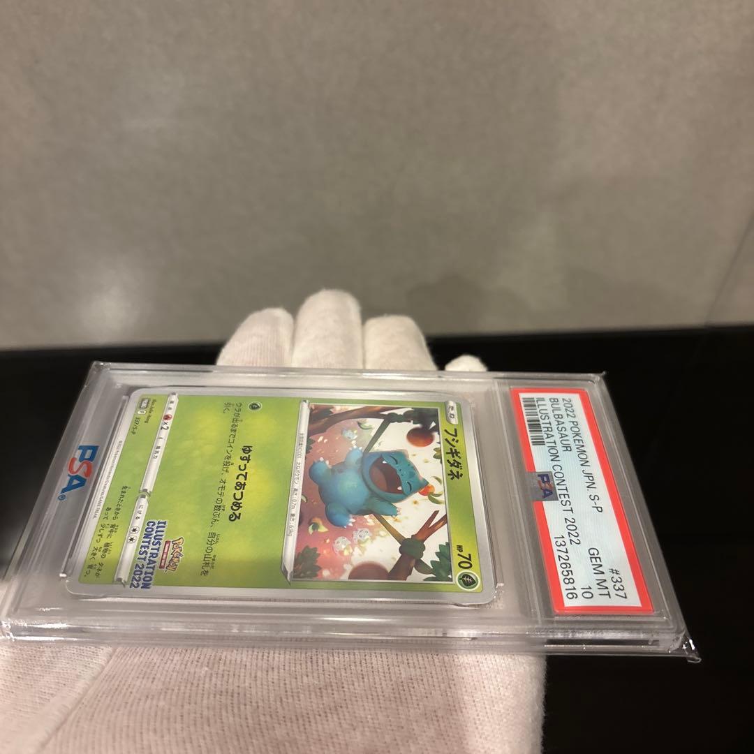 フシギダネ：Pokémon Trading Card Game イラストレーシ…