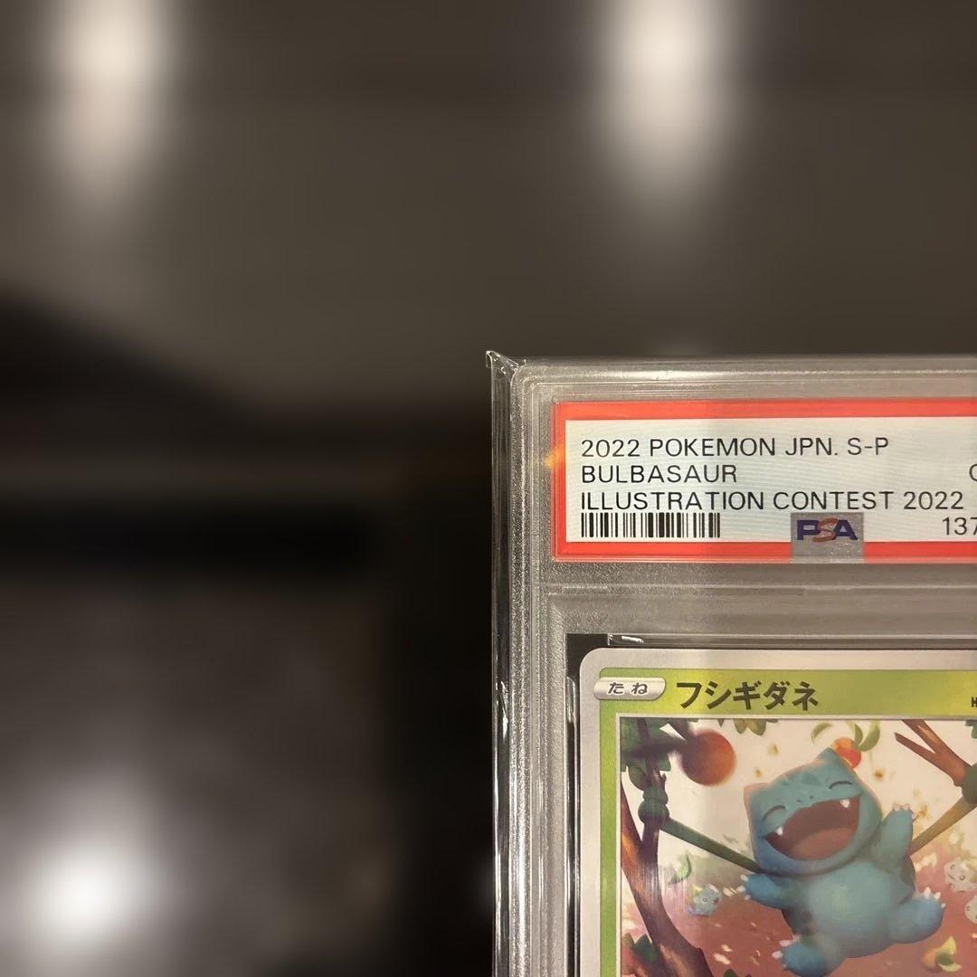 フシギダネ：Pokémon Trading Card Game イラストレーシ…