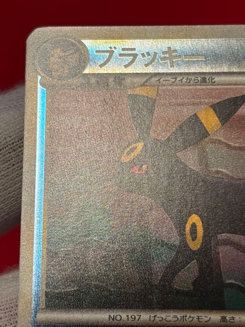 【希少ミラー版】 ブラッキー レジェンド よみがえる伝説 L2 037/080