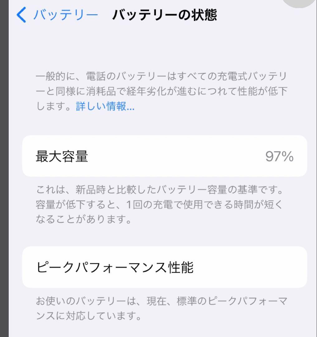 プロフ必読  iPhone15 128GB SIMフリー ブルー