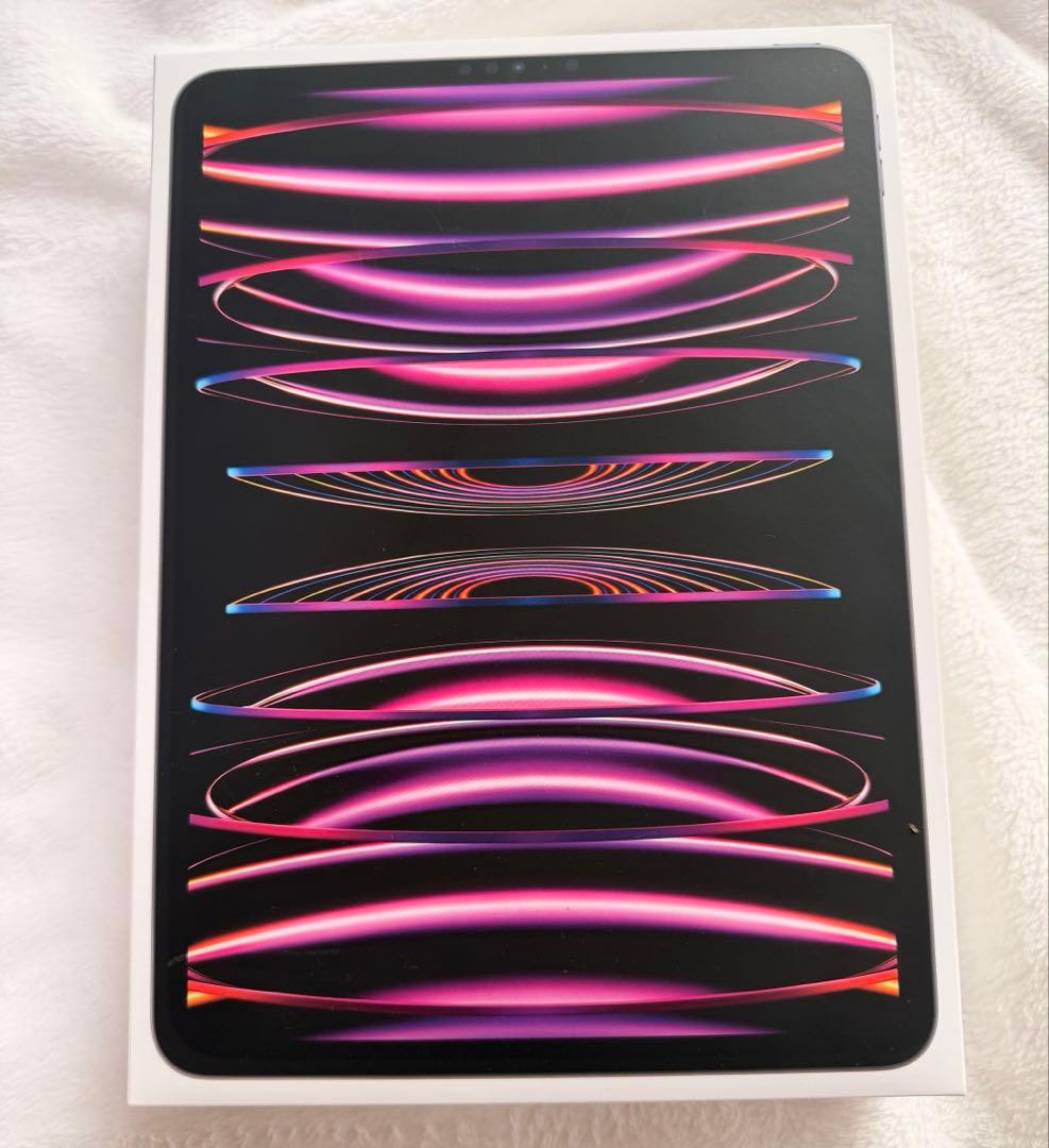iPad Pro 11インチ（第4世代）Wi-Fi+Cellular 256GB