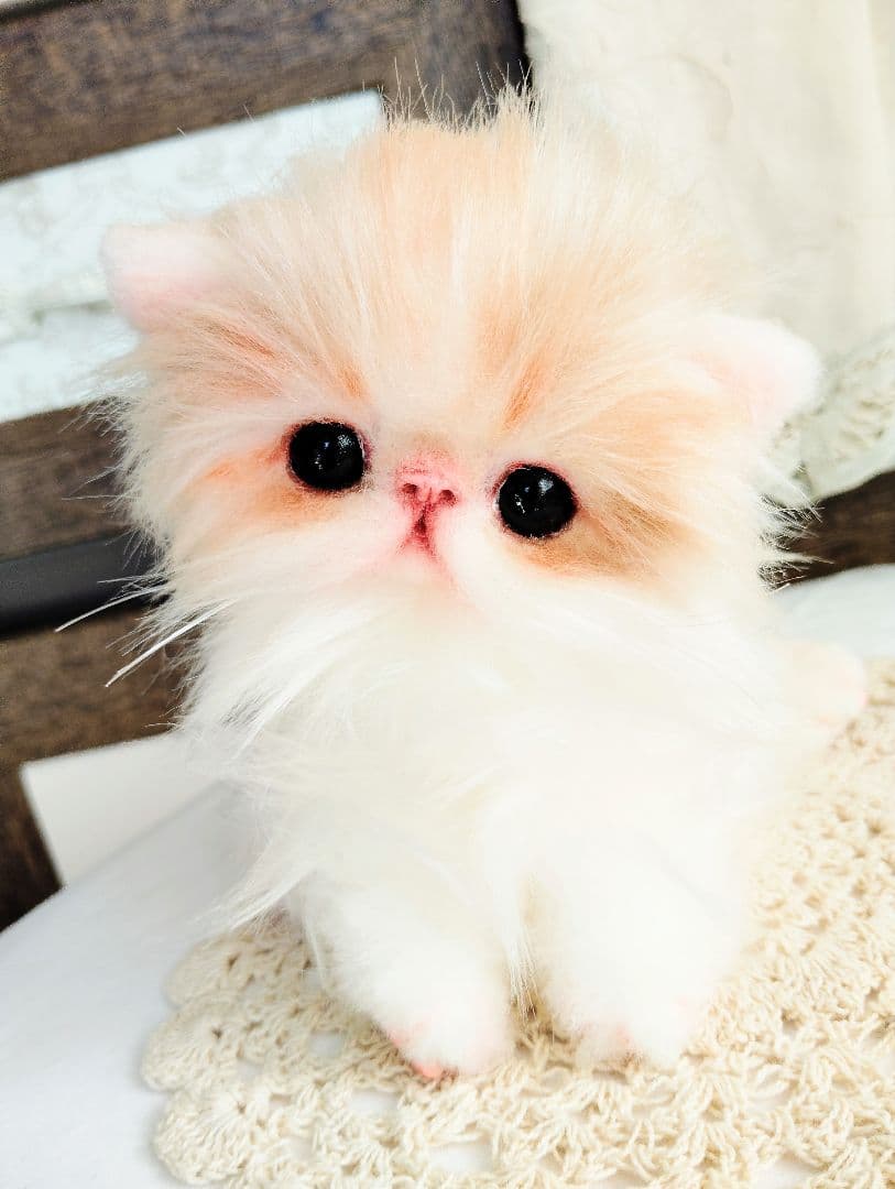 子猫のメイちゃん♡エキゾチックロングヘア♡アートドール♡ぬいぐるみ♡