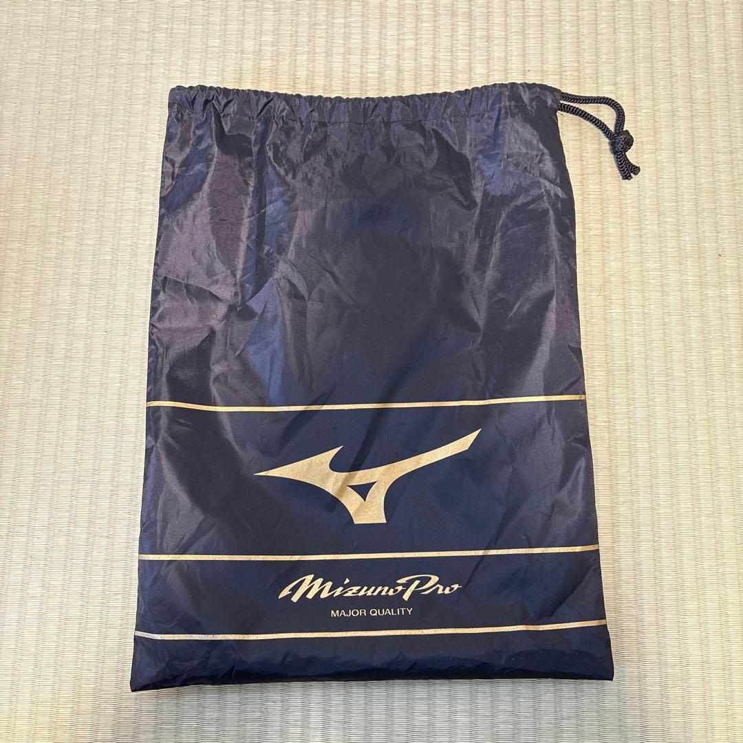 プロ野球　炭谷銀仁朗選手　実使用スパイク