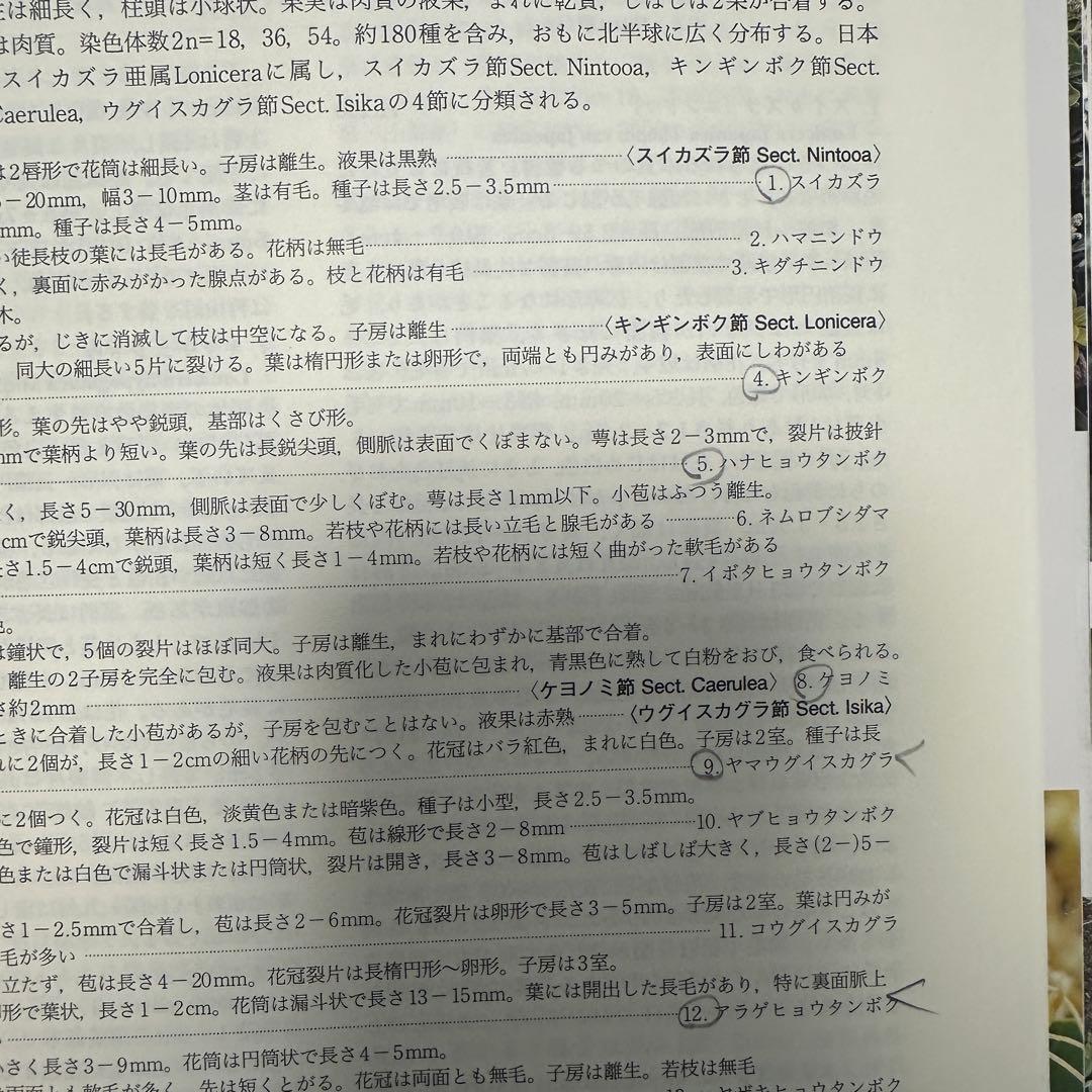 【平凡社】全5巻『改訂新版 日本の野生植物』+総索引