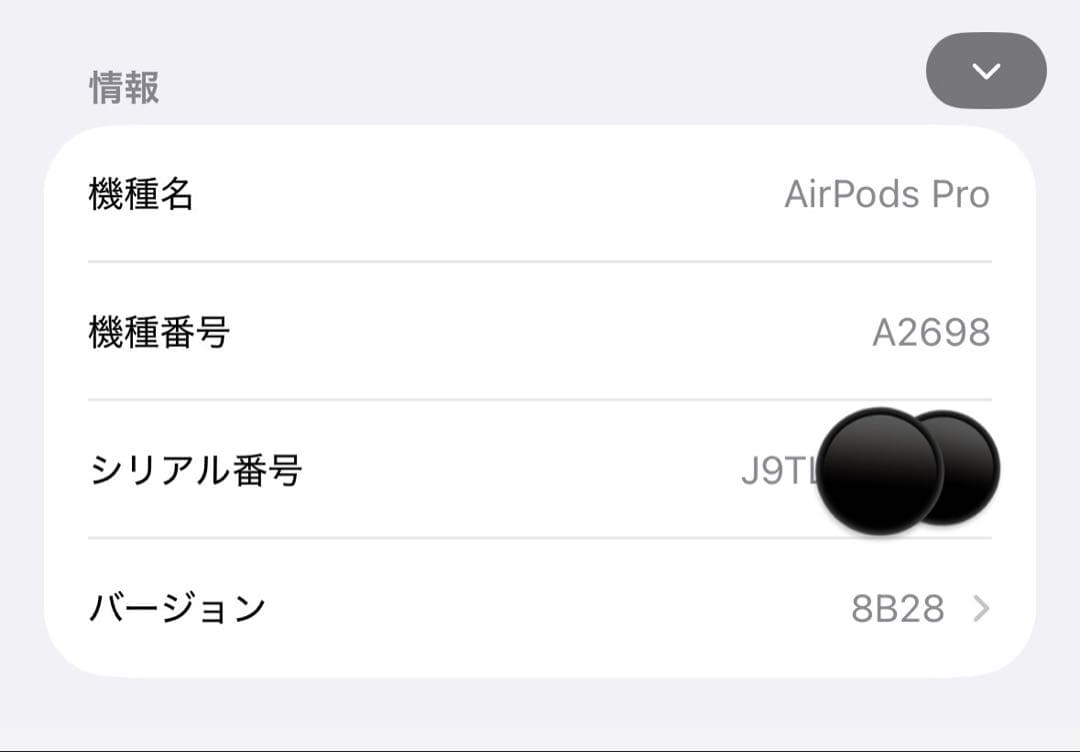 AirPods Pro第3世代 ケース 国内正規品