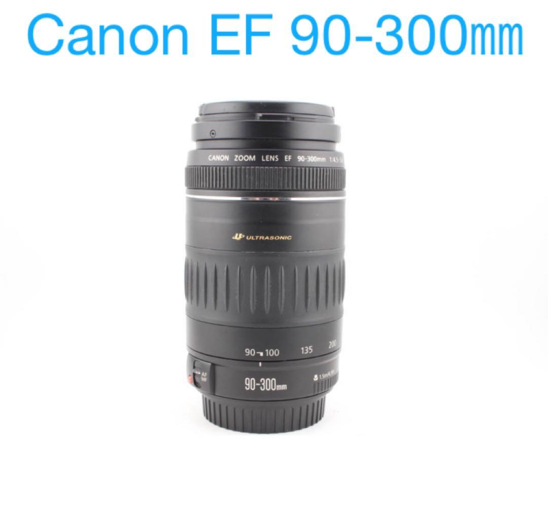 望遠レンズ/Canon EF 90-300mm F4.5-5.6 USM