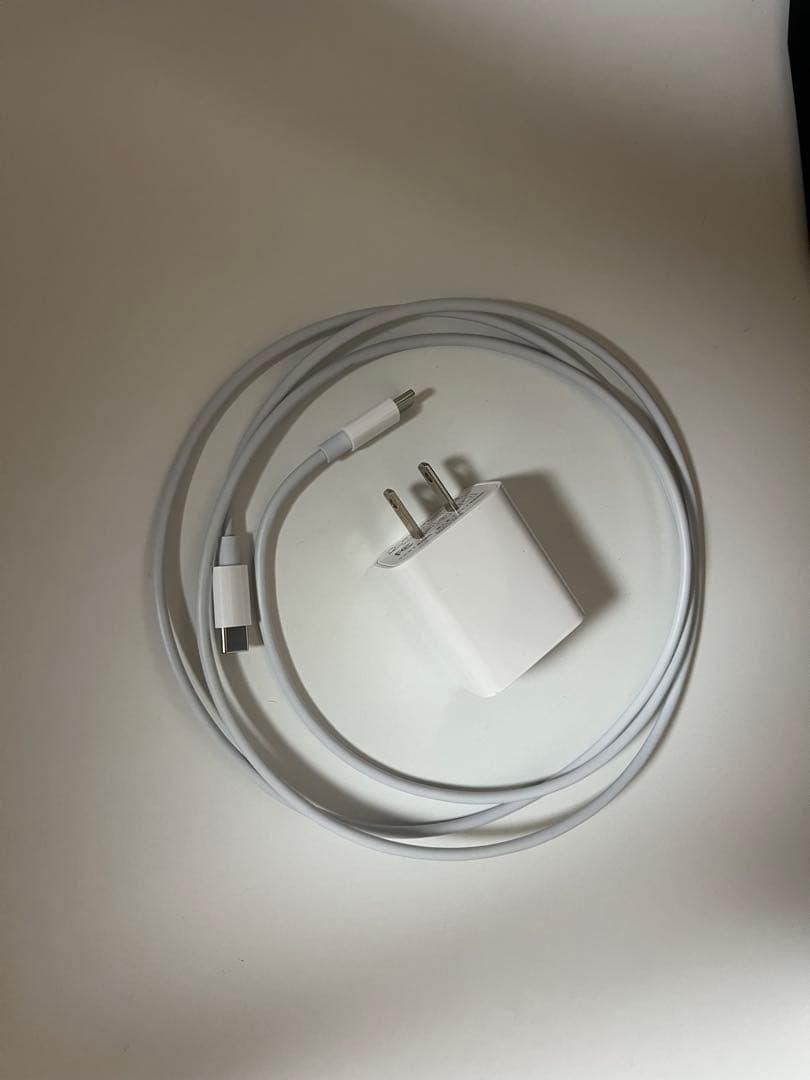 iPad pro 第三世代 11インチ 256GB 付属品有り(説明欄必読)