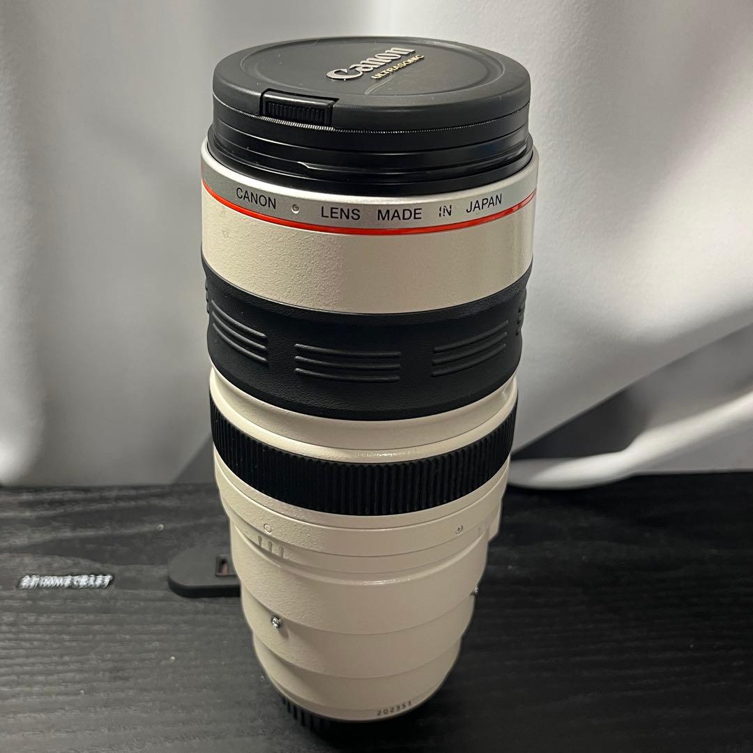 デジタルカメラ Canon EF 100-400mm f/4.5-5.6L IS USM