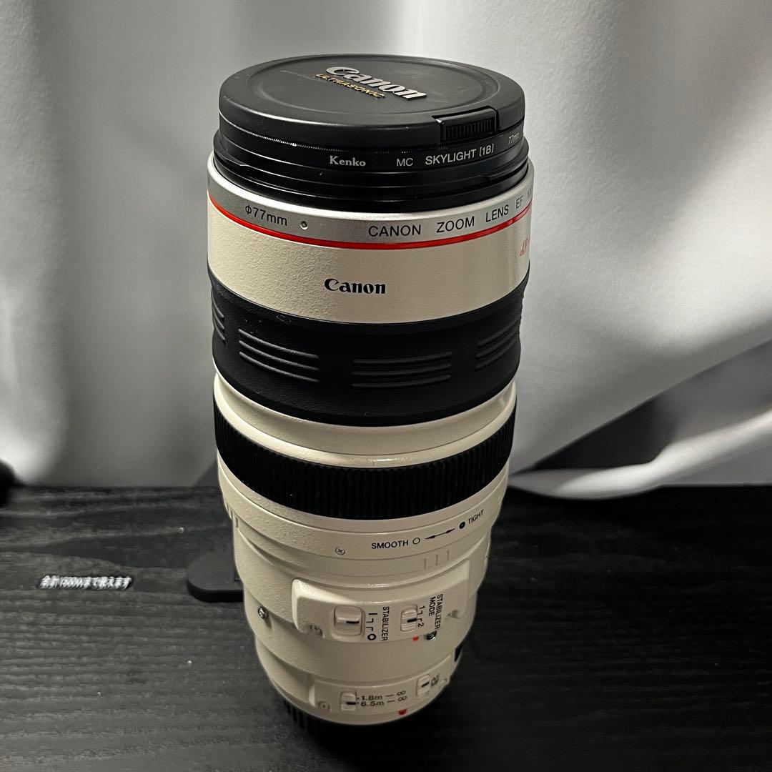 デジタルカメラ Canon EF 100-400mm f/4.5-5.6L IS USM