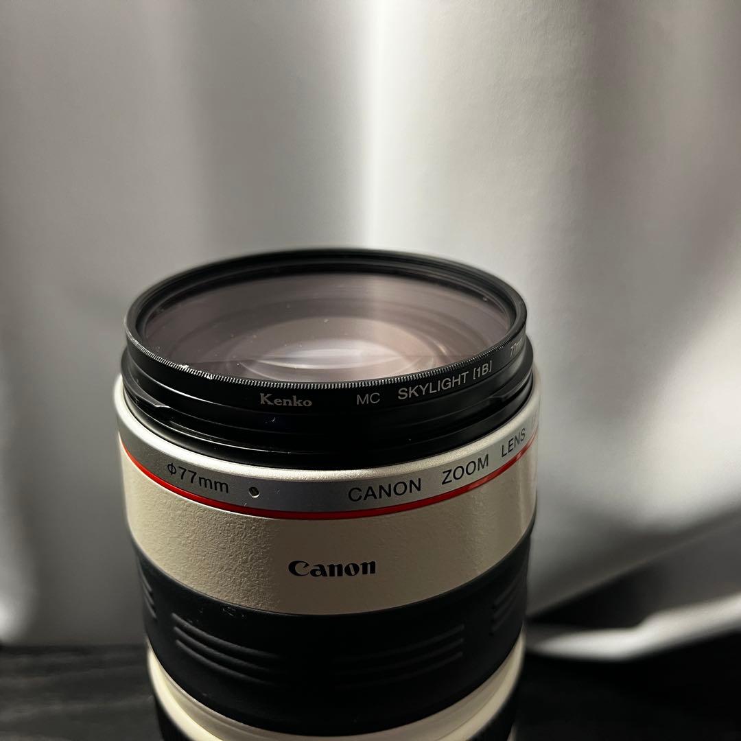 デジタルカメラ Canon EF 100-400mm f/4.5-5.6L IS USM