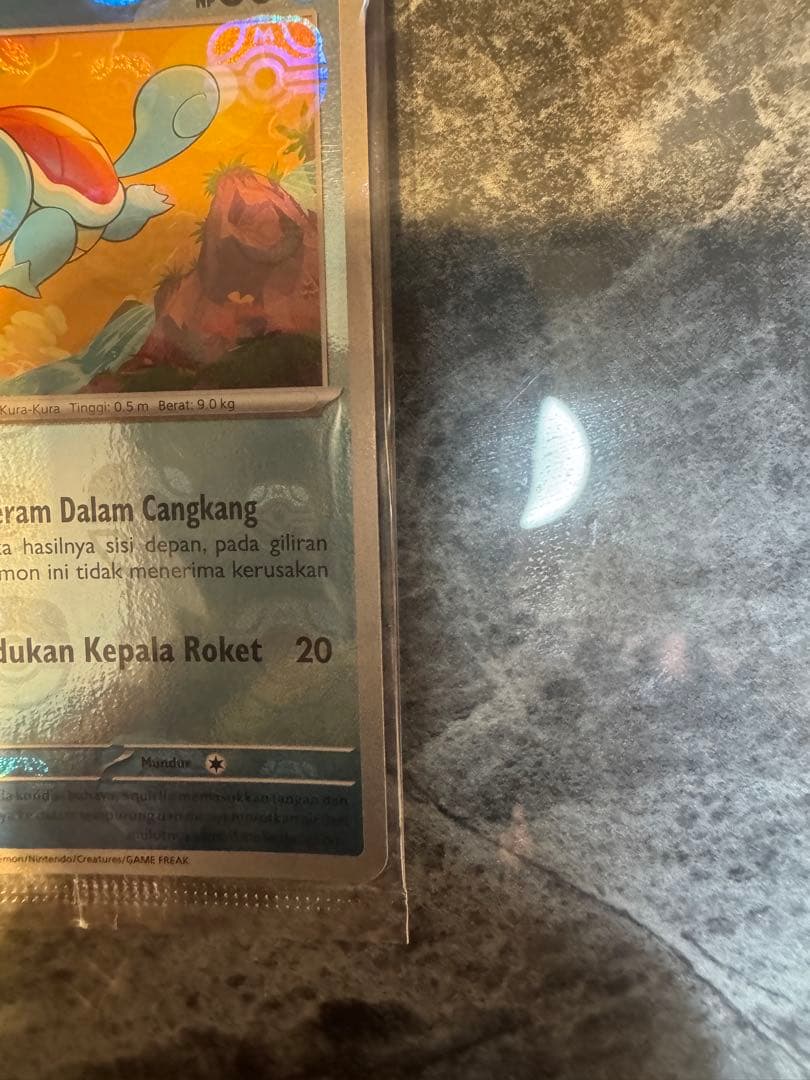 【未開封】ゼニガメ マスターボールミラー 大会プロモ 海外限定 御三家