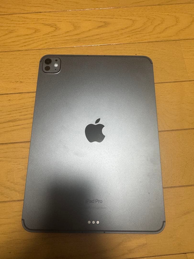 値下げ交渉可iPad Pro M411インチスペースグレー 256GB 本体のみ