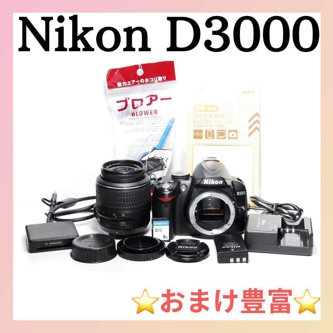 ⭐️コスパ重視⭐️Nikon D3000 デジタル一眼レフ　入門機としておすすめ