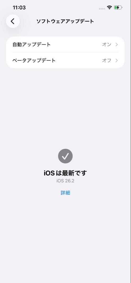 【美品】iPhone12 Pro Max 256GB グラファイト SIMフリー