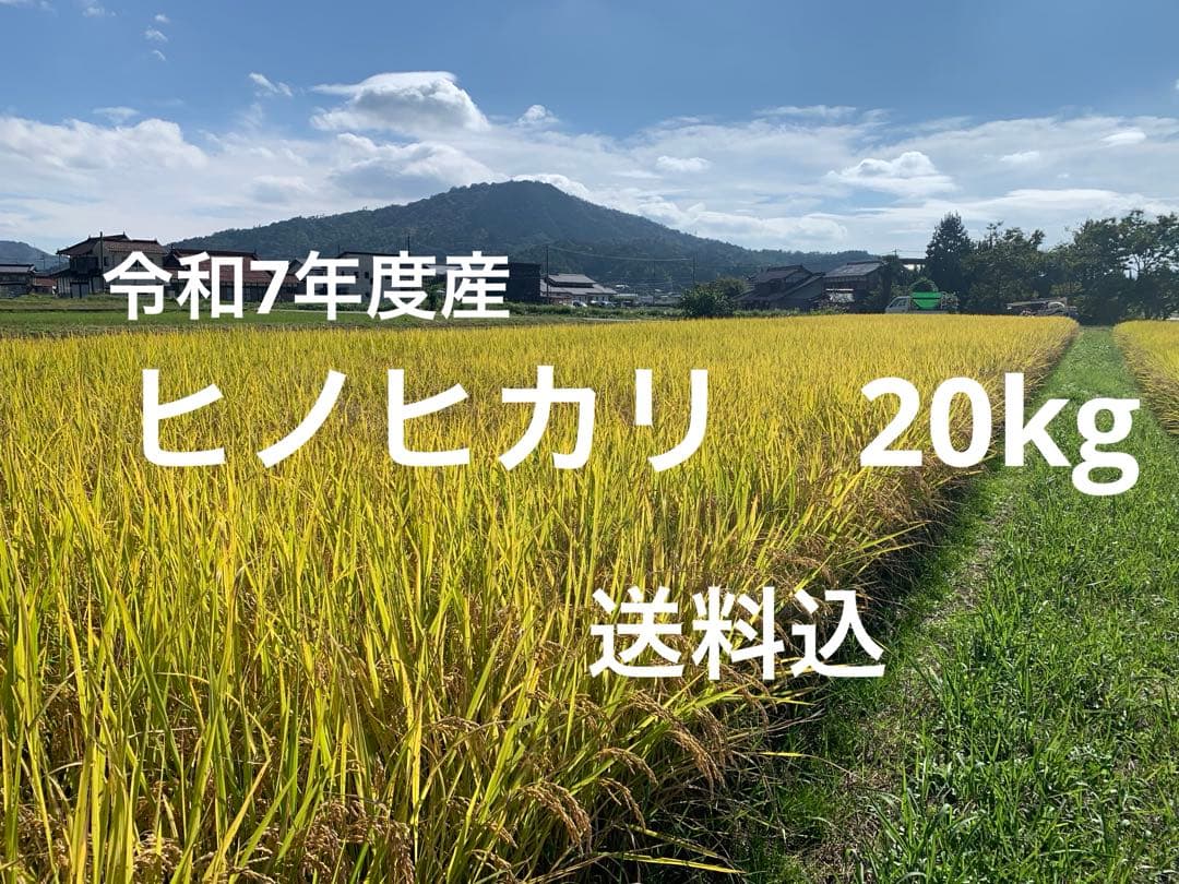 令和7年度産ヒノヒカリ20kg(玄米)送料込　農家のお米