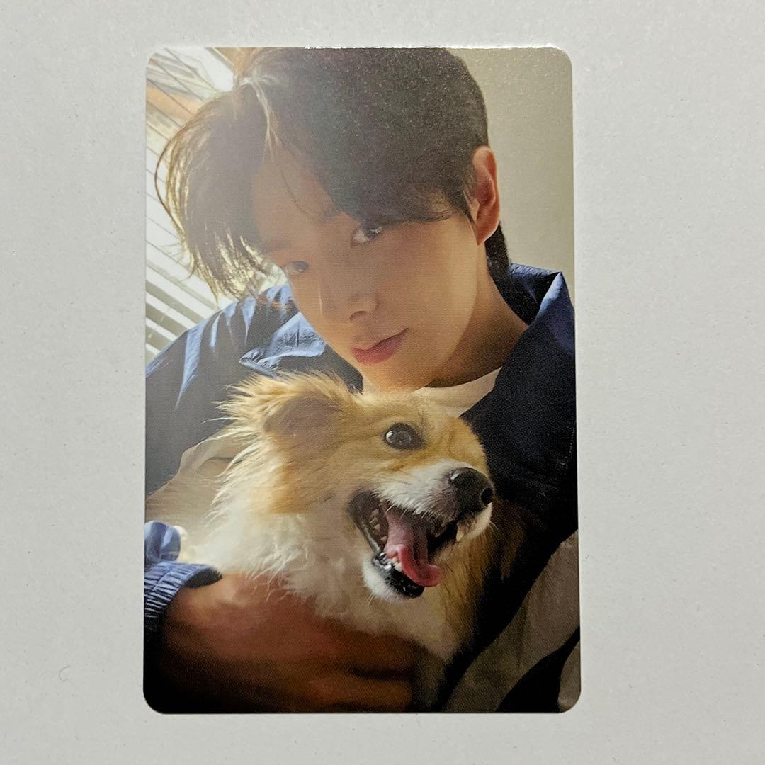 ENHYPEN　アンケート　トレカ　ジェイク