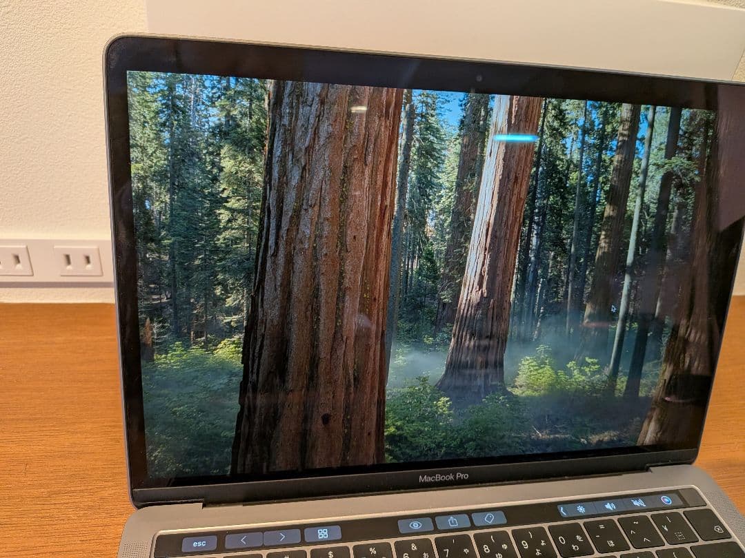 MacBook Pro 13インチ 2019年モデル 256GB