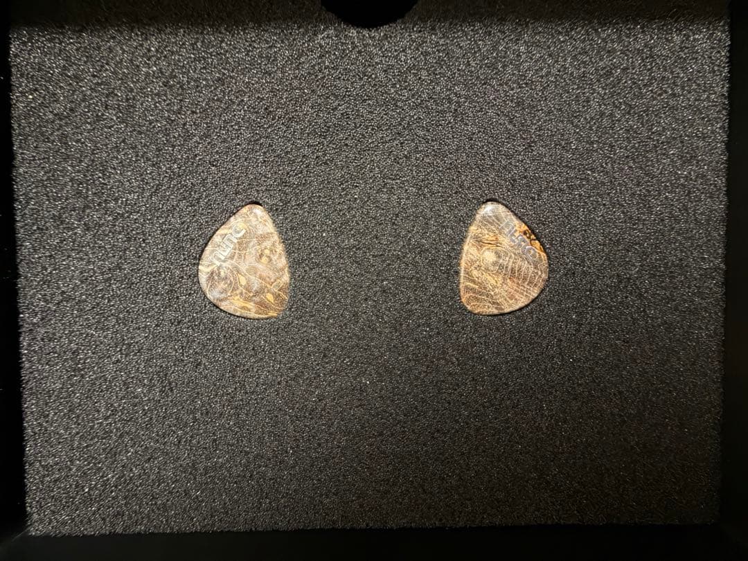 超特価中【極美品・付属品完備】DUNU x Gizaudio DaVinci