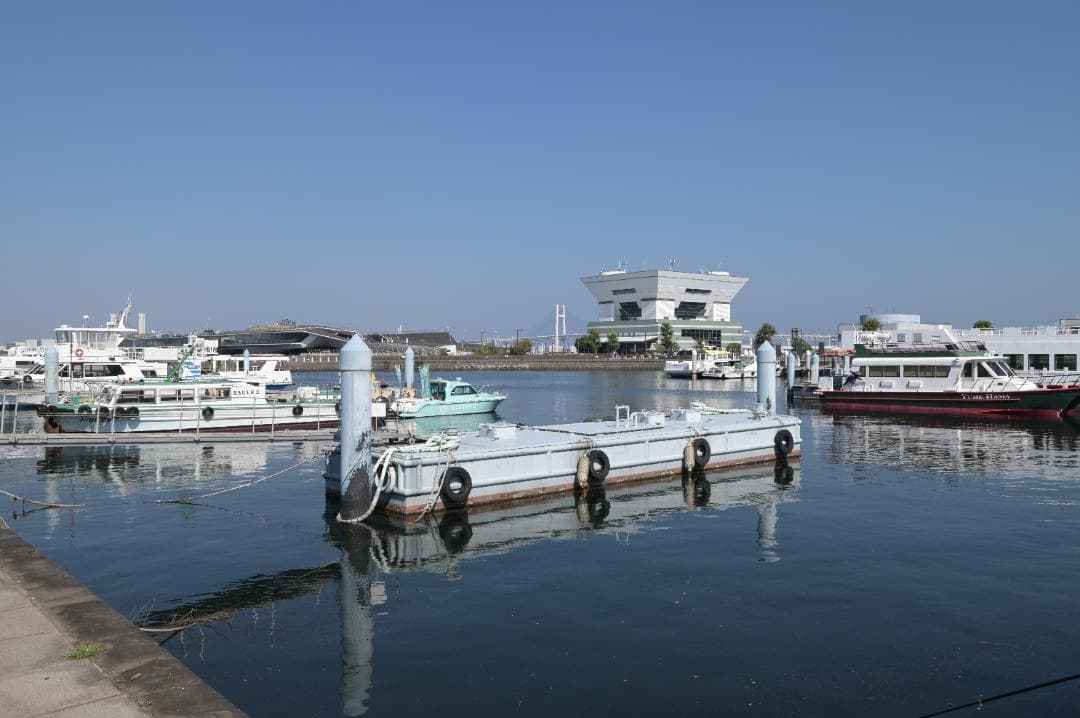 シャッター回数【65枚】Nikon デジタル一眼レフカメラ D780 ボディ