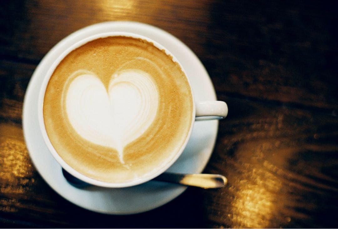 完動品 ◉ Contax Aria 単焦点レンズ付き フィルムカメラ