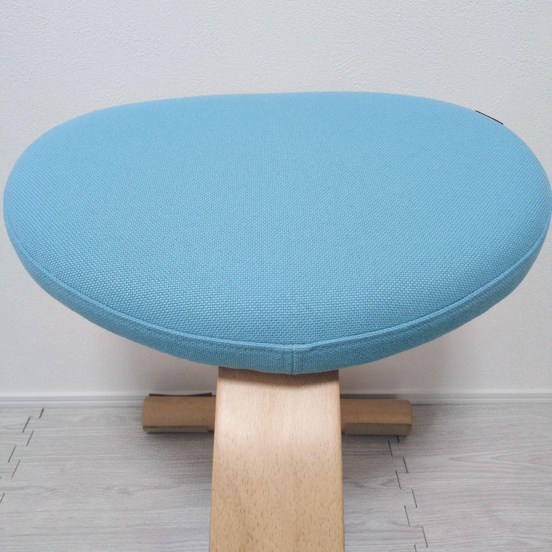 ✨️美品✨️Balans EASY バランスイージー　チェア カバー、説明書付き