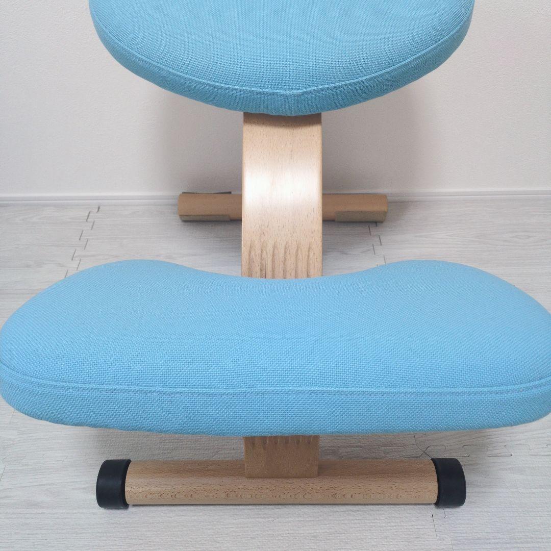 ✨️美品✨️Balans EASY バランスイージー　チェア カバー、説明書付き