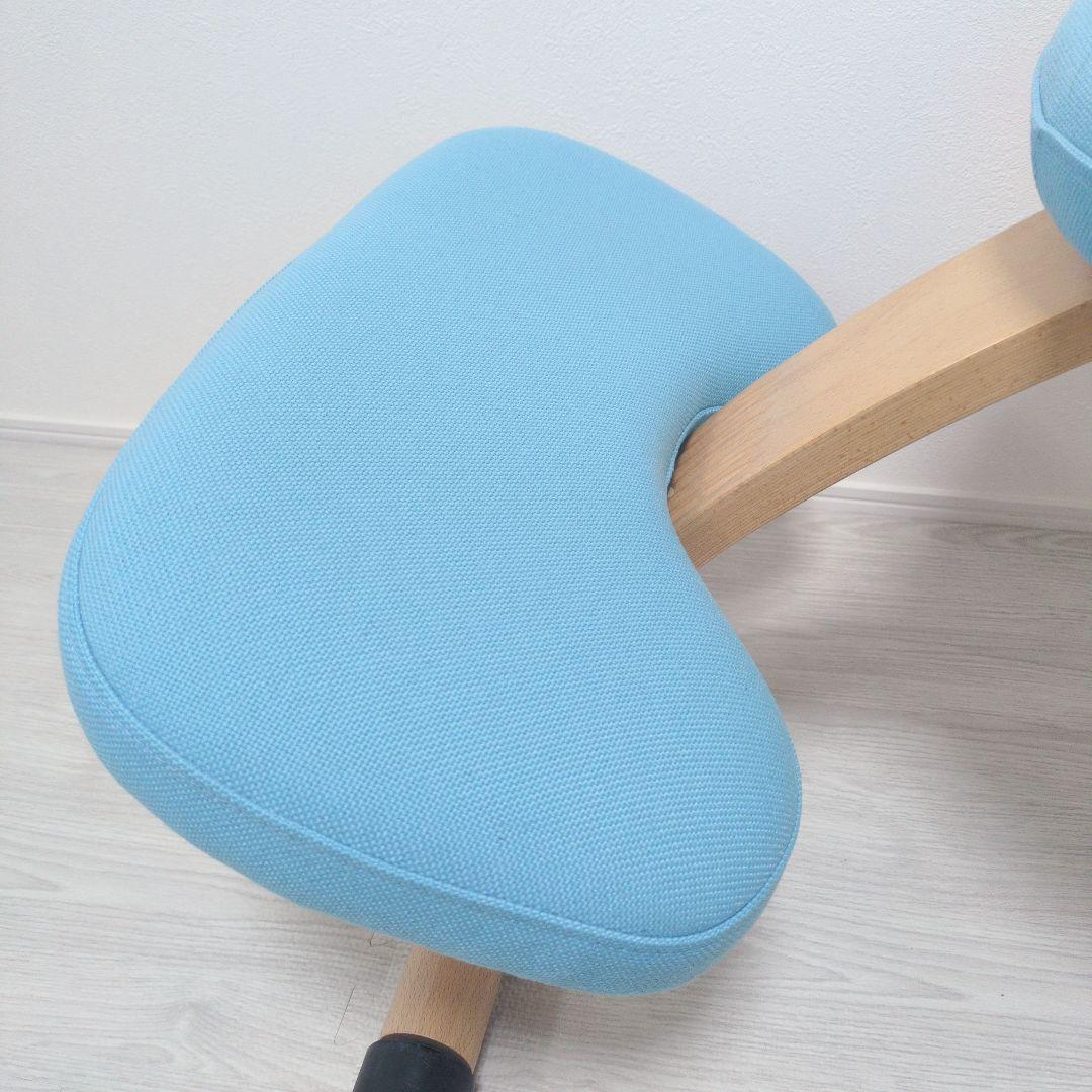 ✨️美品✨️Balans EASY バランスイージー　チェア カバー、説明書付き