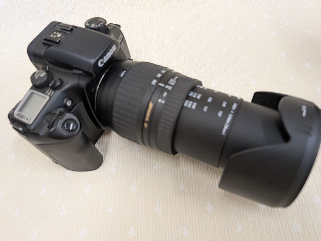 Canon EOS 7 フィルム一眼レフカメラ SIGMAレンズ2本セット