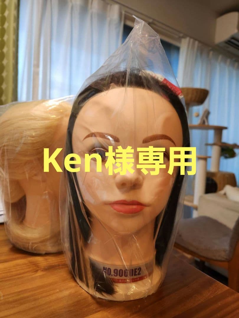 レジーナワインディングウィッグNO.906DE2