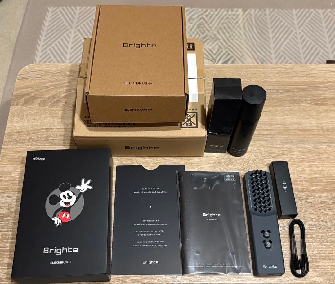 美品！ブライトエレキブラシプラス/ELEKI BRUSH＋ミッキーマウスデザイン