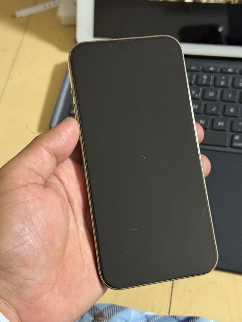 iPhone 13 Pro Max 1.02TB ゴールド