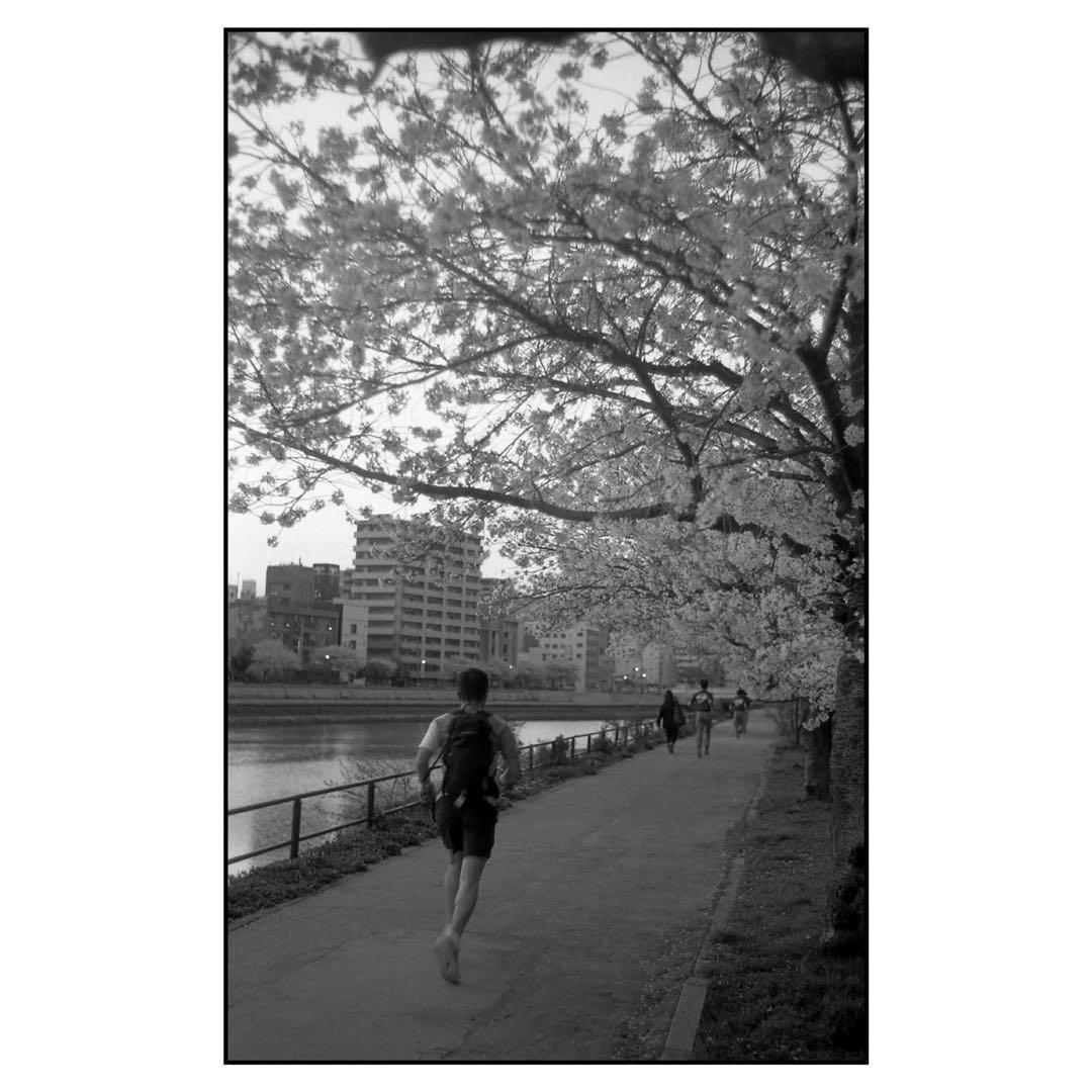 ツァイスイコン ゾナー50mm f2 Cマウント