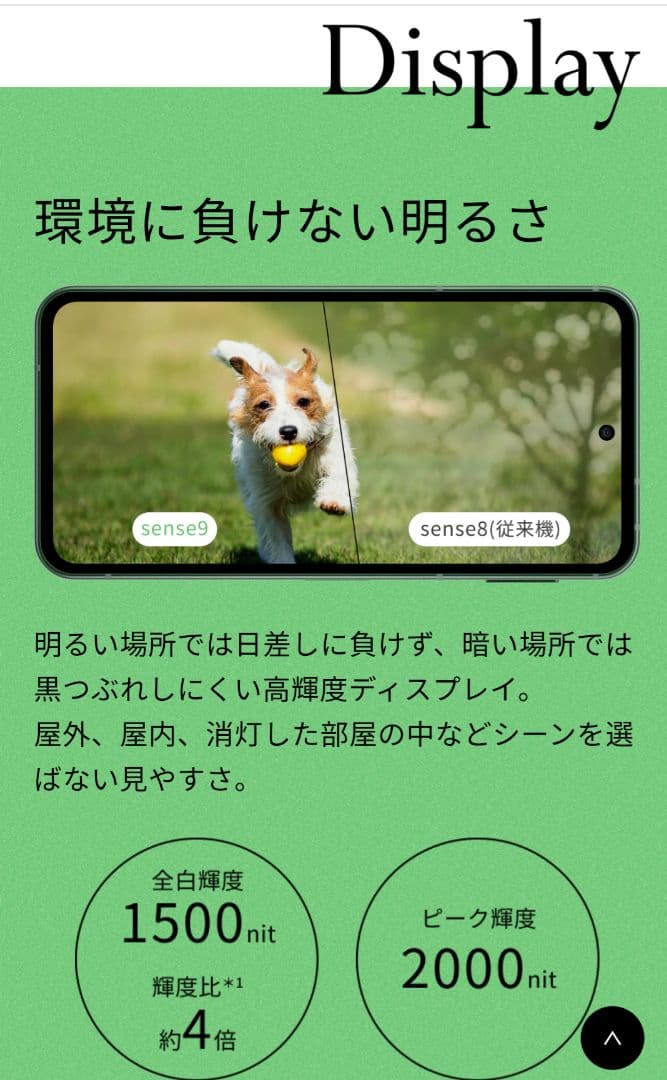 増量モデル.AQUOS sense9 8GB 256GB 人気色