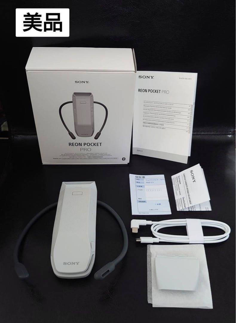 【美品】SONY REON POCKET PRO RNPK-P1