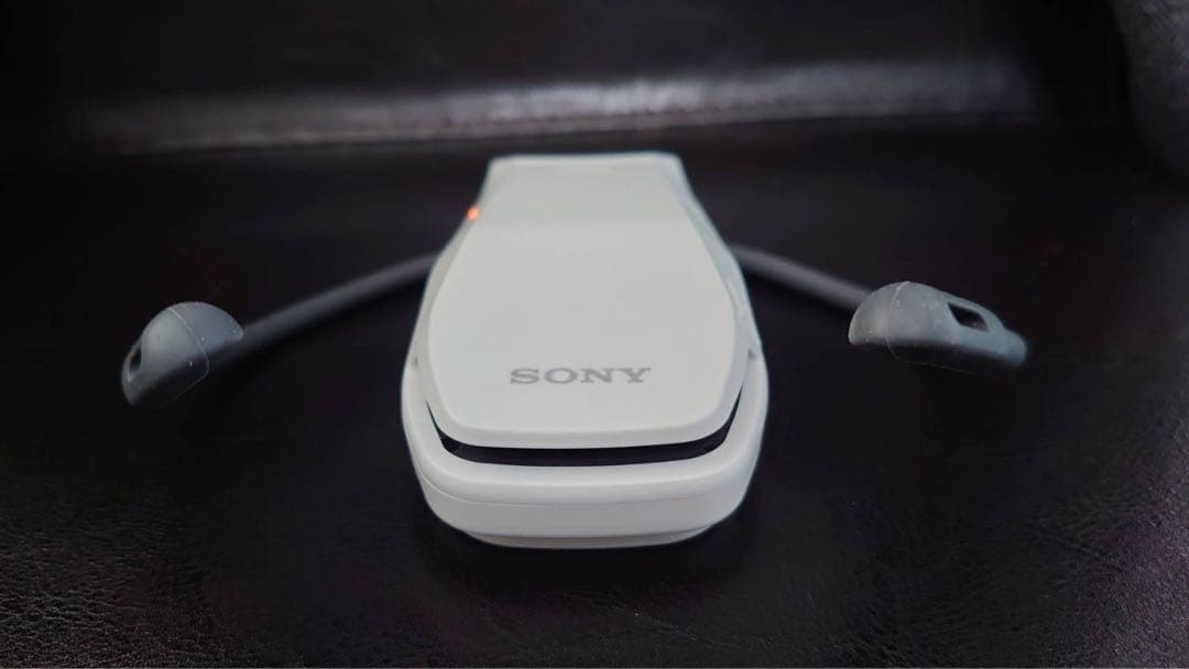 【美品】SONY REON POCKET PRO RNPK-P1