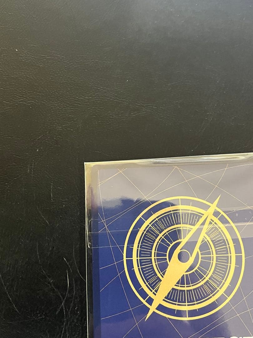 あんしん鑑定付！希少　英語　シャーロット・プリン　チャンピオンシップ2024