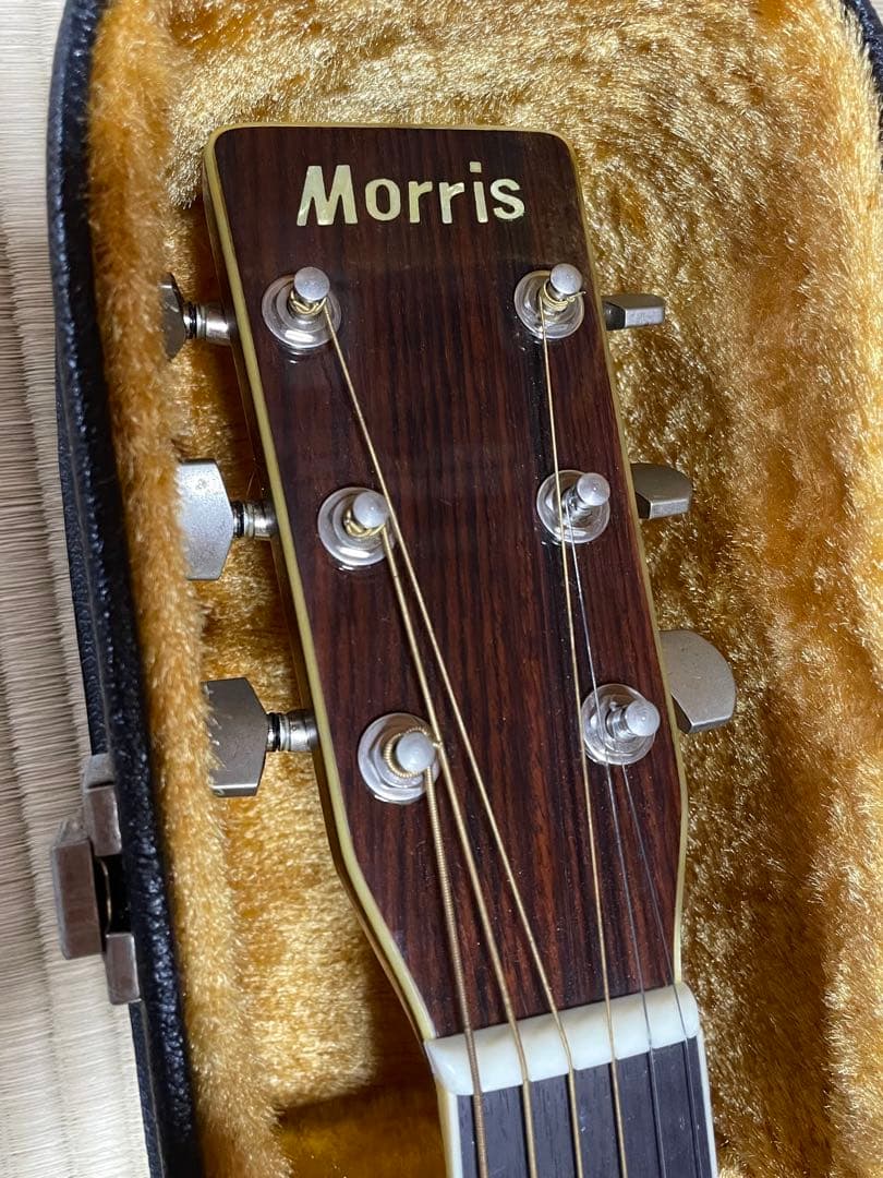 Morris W-30 モーリス　アコースティックギター