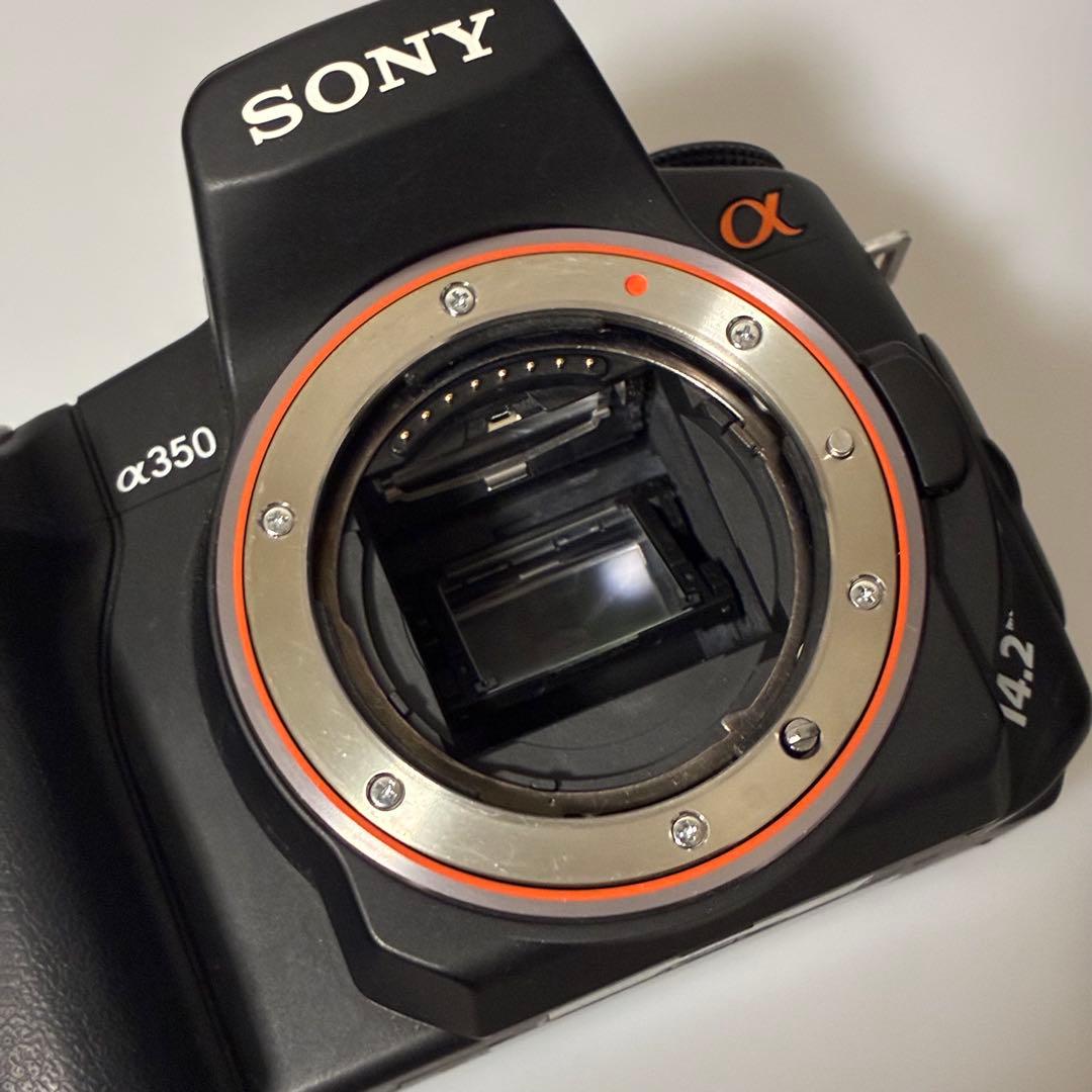 【一眼レフデビューにおすすめ！！】SONY α350 初心者セット【作例付き】