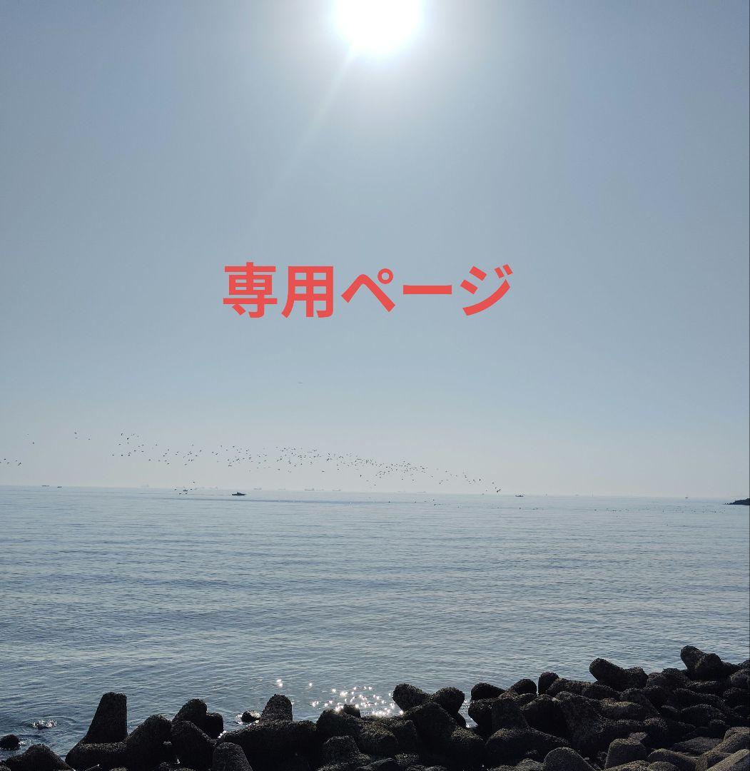 TCL 55V型 4K 液晶テレビ 55T8S 量子ドット（QLED）搭載