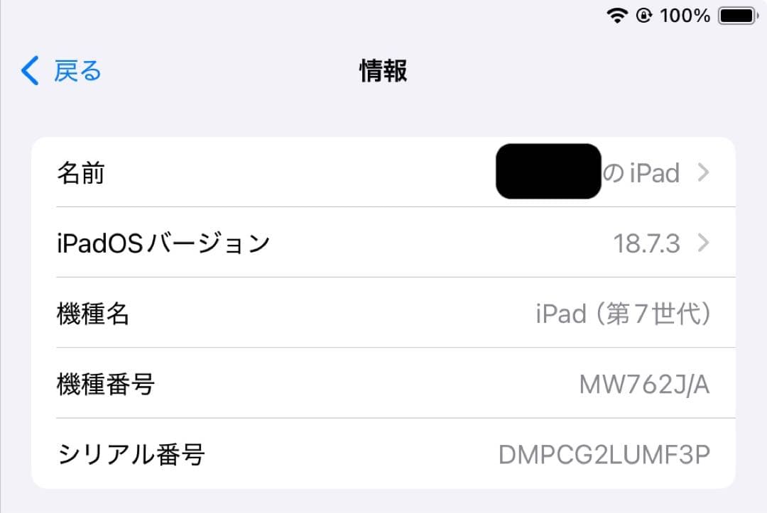 【美品】iPad 本体2020モデル ローズゴールド