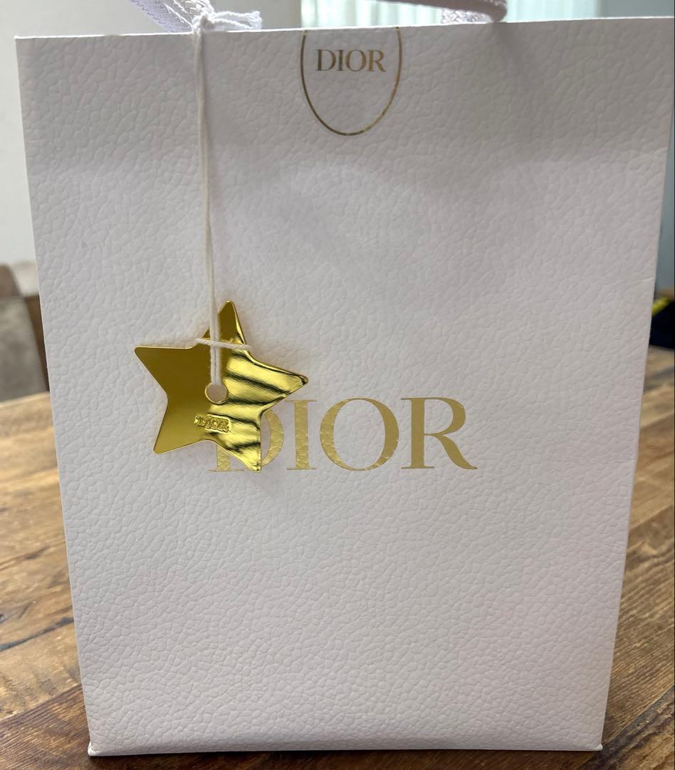 【初心者 】CHRISTIAN DIOR CDロゴネックレス シルバー