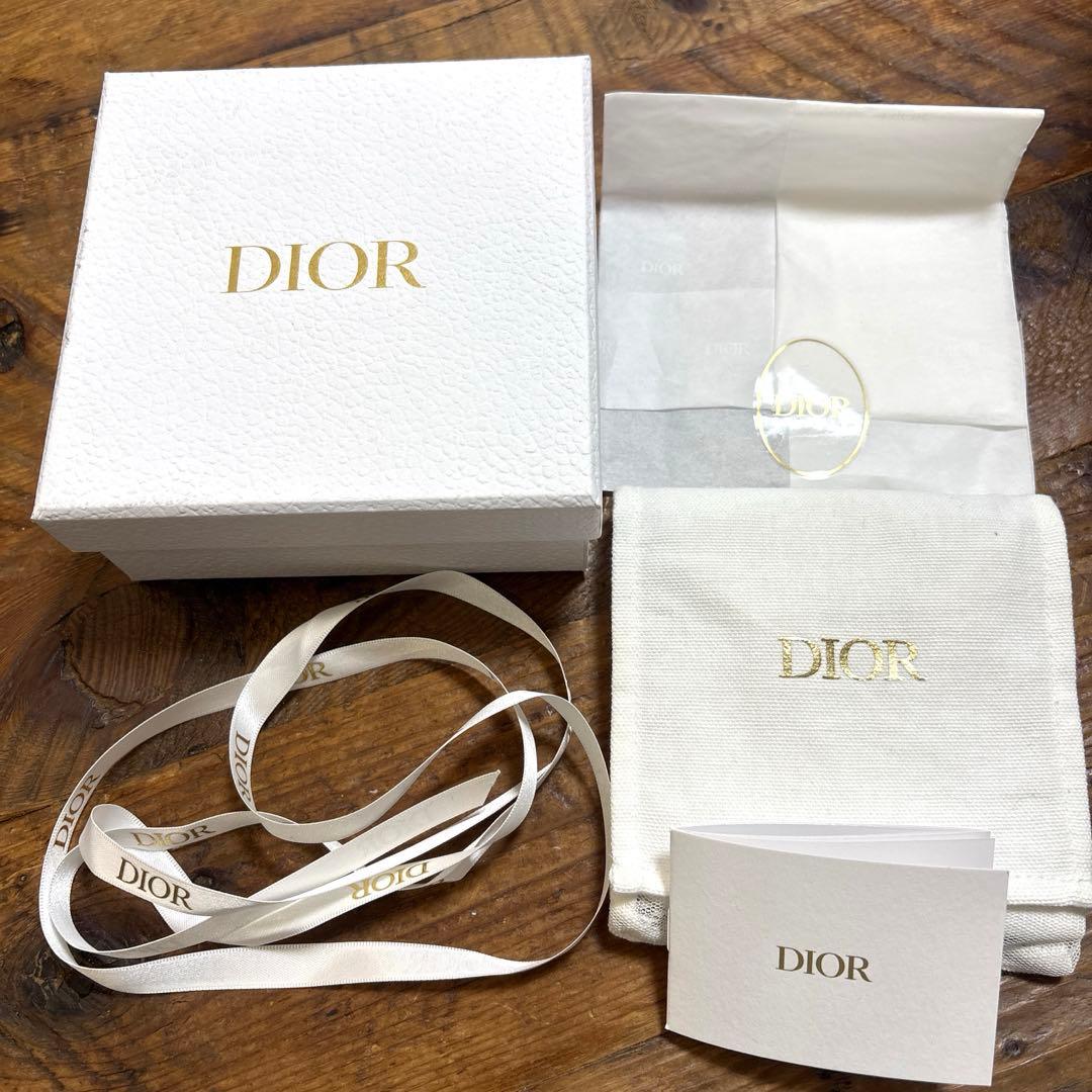 【初心者 】CHRISTIAN DIOR CDロゴネックレス シルバー